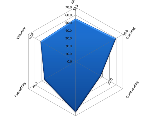 Leadership Styles – Uncovering Your Team’s Strengths and Weaknesses